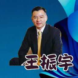 王振宇